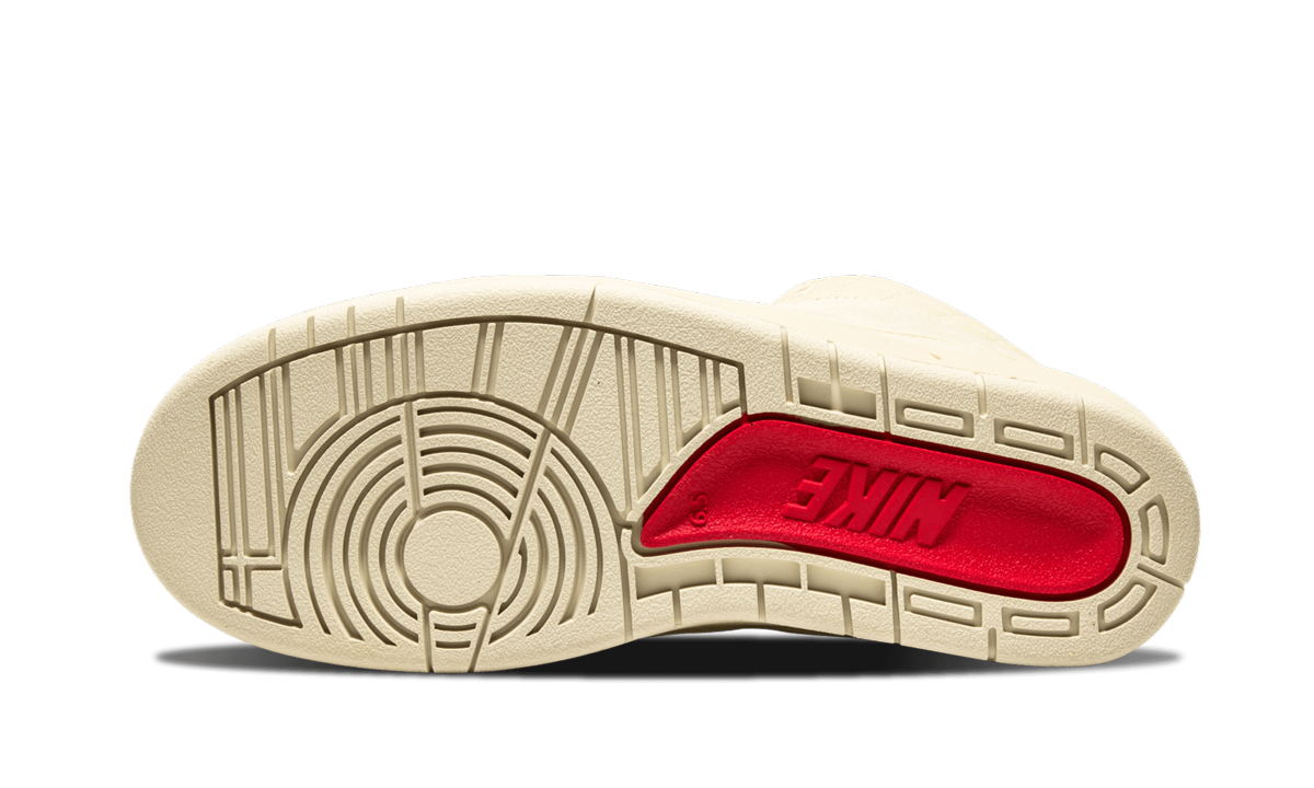 Air Jordan 2 R JS DN GS "Beach"